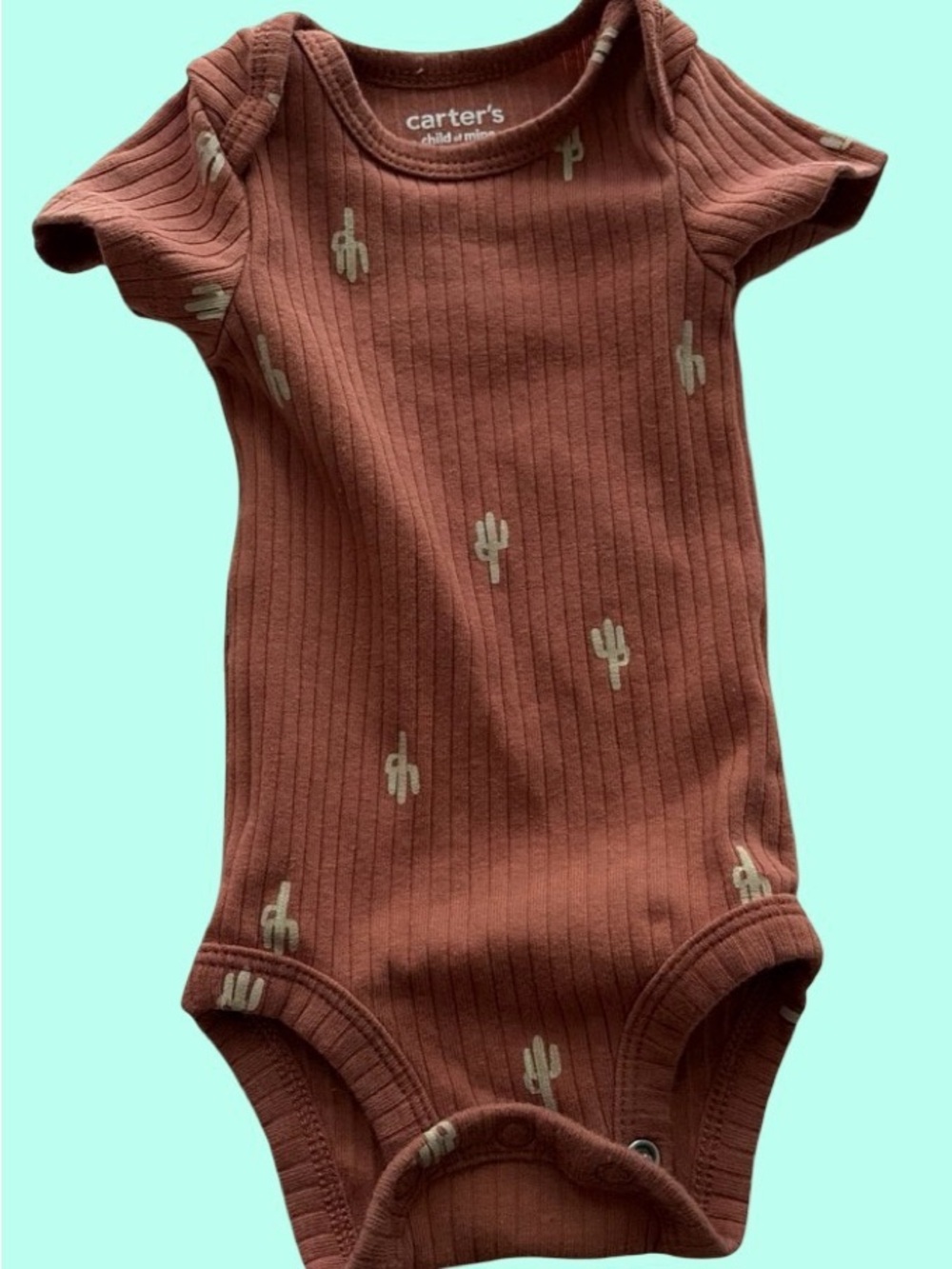 Carter's Rust Ribbed Cactus One-Piece Bodysuit